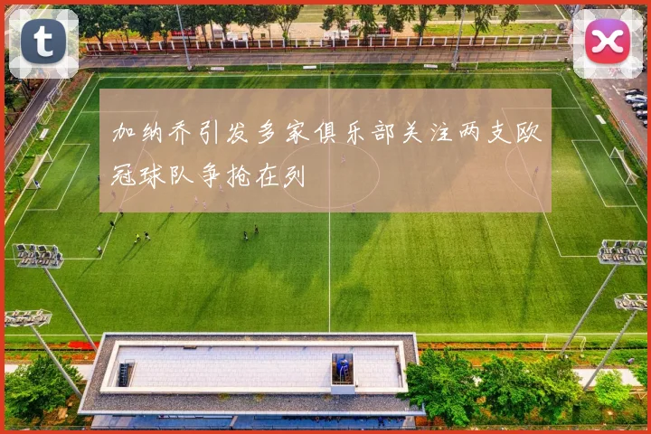 加纳乔引发多家俱乐部关注两支欧冠球队争抢在列